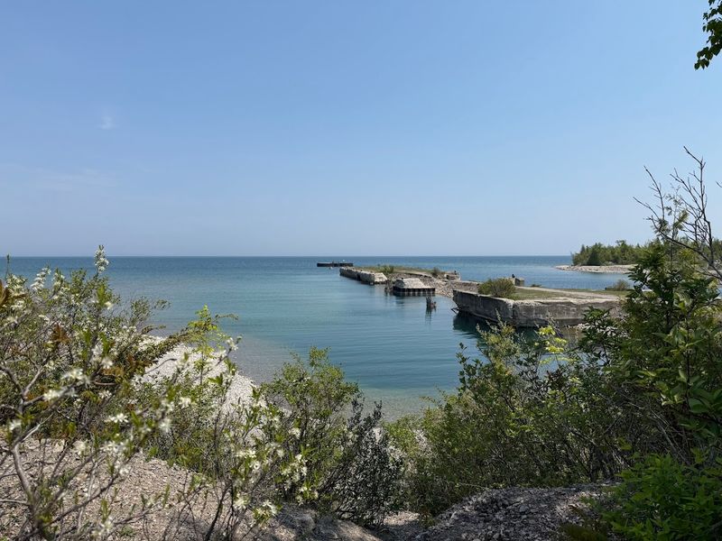 Snorkeling and Paddleboarding in the Harbor
