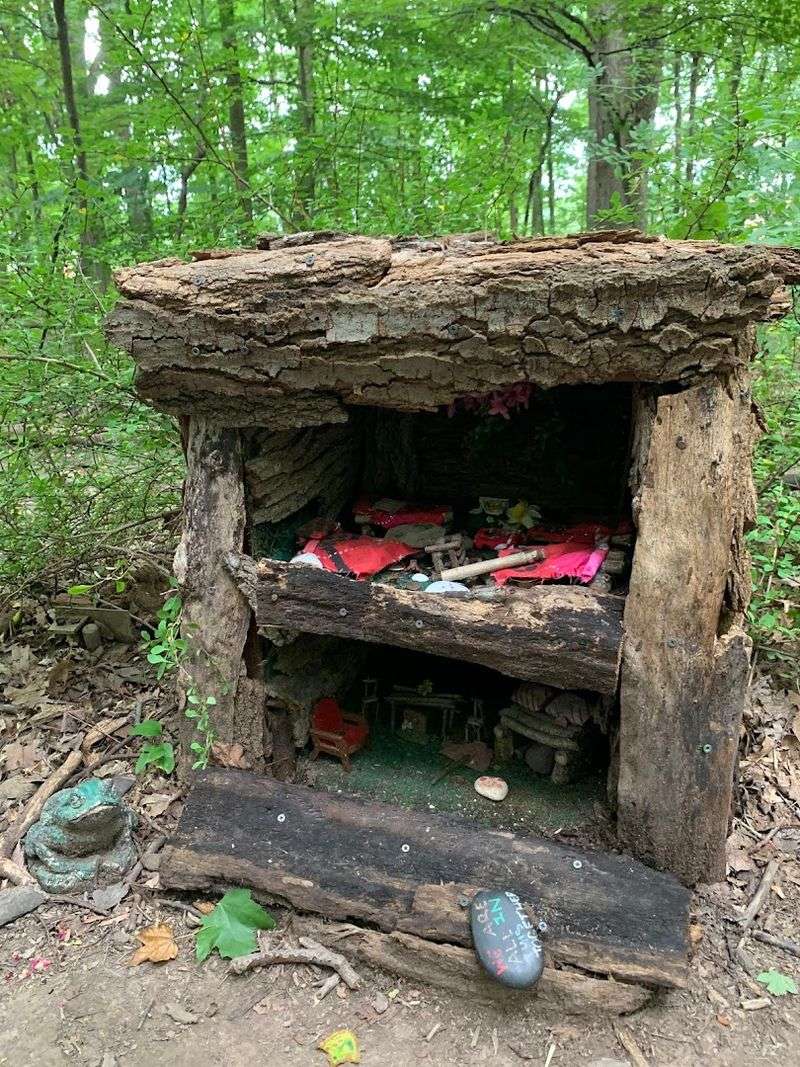 South Mountain Fairy Trail - Millburn