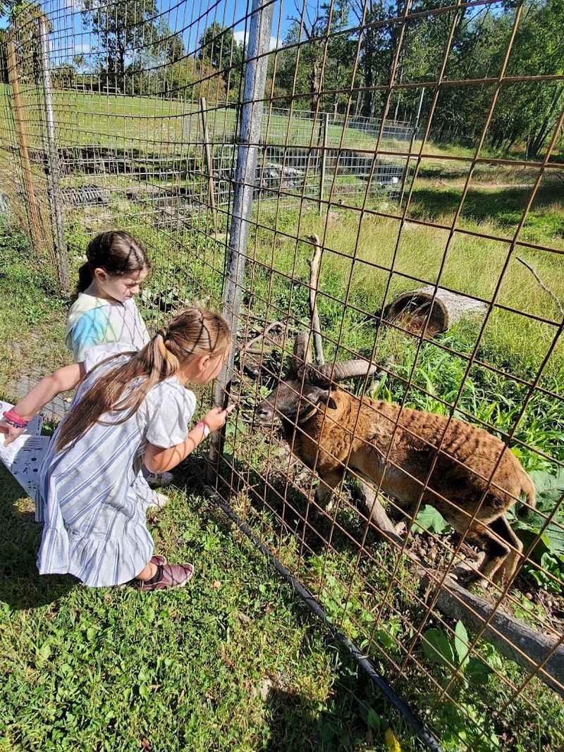 Space Farms Zoo & Museum in Sussex