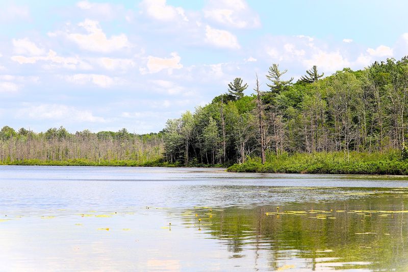 Spring Lake State Forest Campground