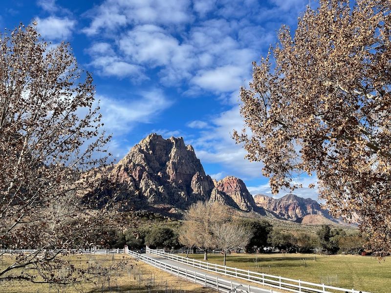 Spring Mountain Ranch State Park (Blue Diamond)