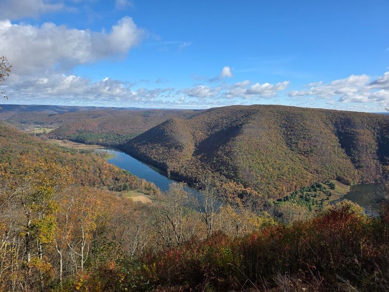 Sproul State Forest