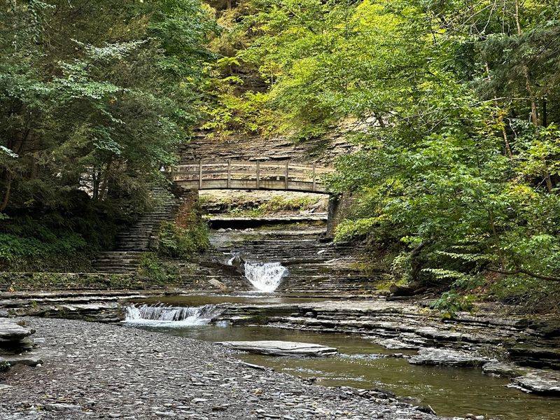 Stony Brook Falls Trail