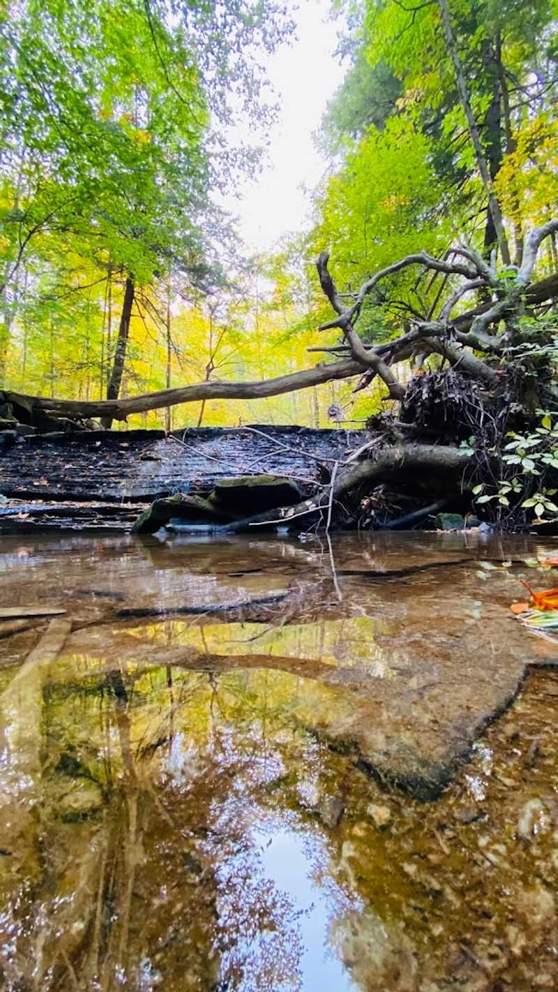 Stony Brook Falls