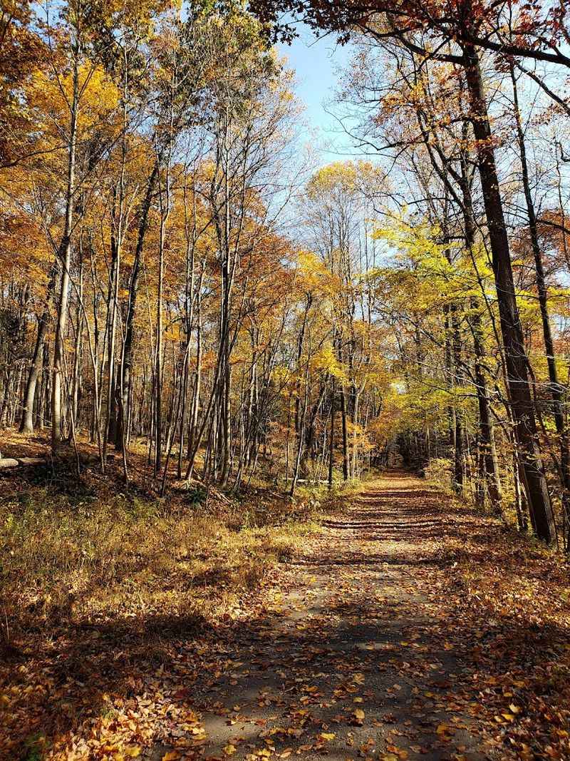 Stony Valley Railroad Grade Trail
