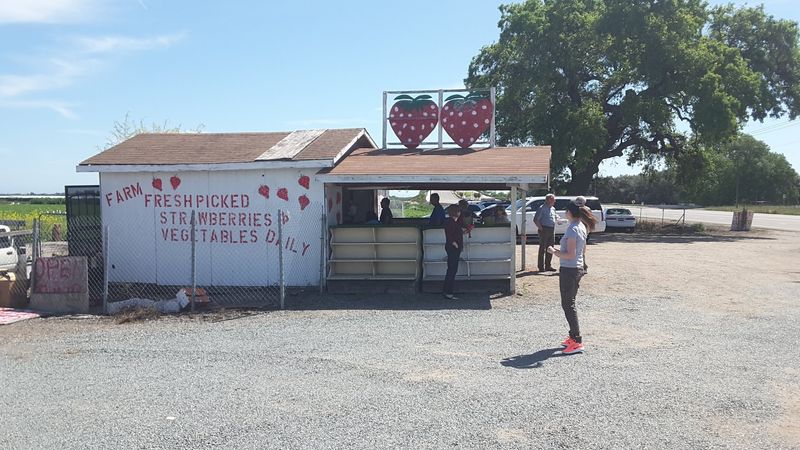 Strawberry Fields Farm Market Strawberry Fields Farm Market