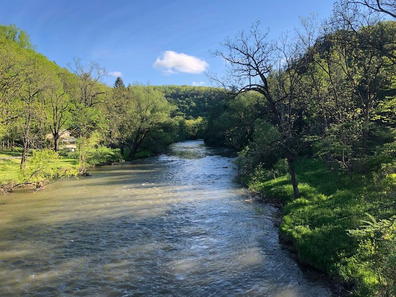 Streams, Wildlife, And A Strong Sense Of Solitude Streams, Wildlife, And A Strong Sense Of Solitude