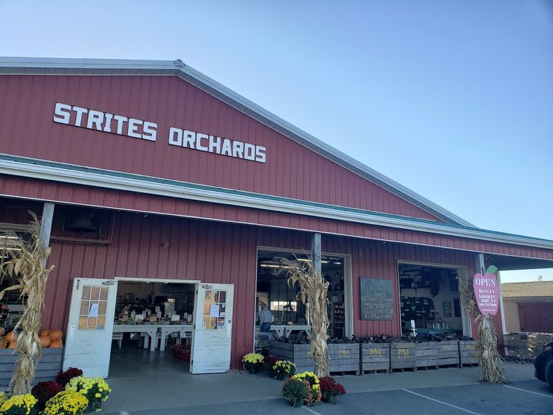 Strites’ Orchard Farm Market & Bakery