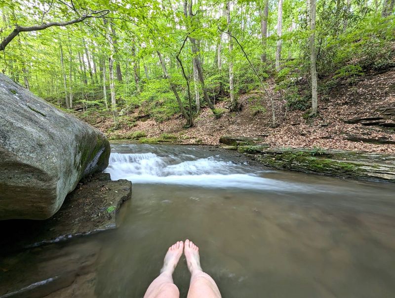Summer is when Blue Hole Creek shines brightest Summer is when Blue Hole Creek shines brightest