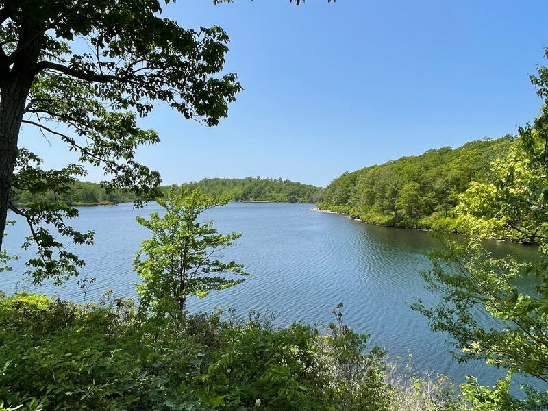 Sunfish Pond - Columbia Sunfish Pond - Columbia