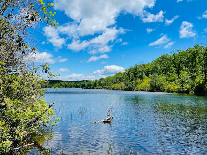 Sunfish Pond