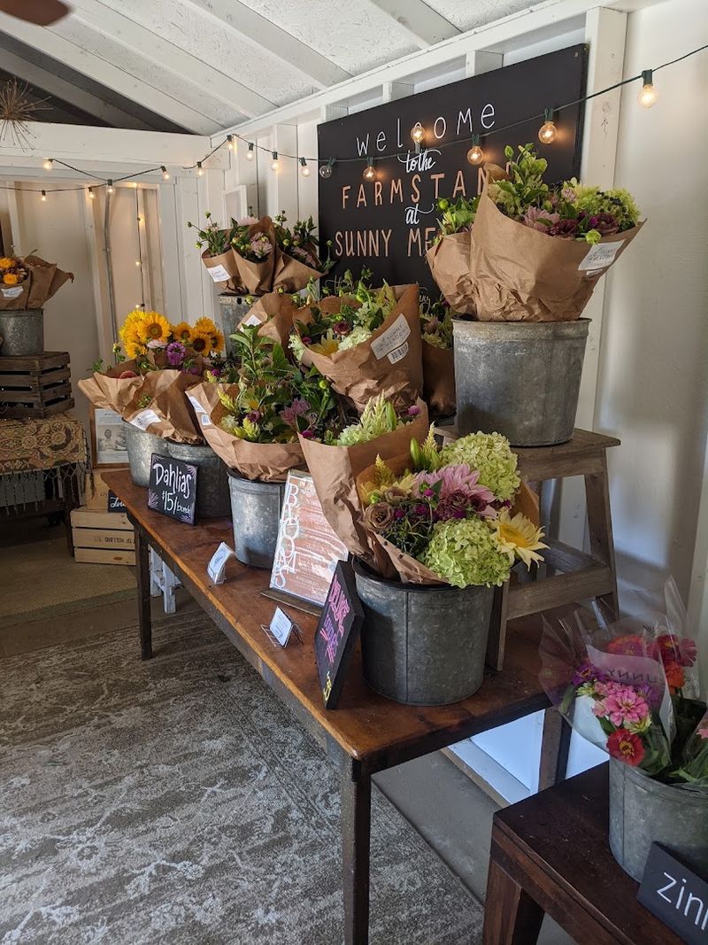 Sunny Meadows Flower Farm, Columbus, Ohio