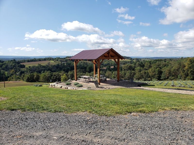 Sweeping Views Make Every Walk More Memorable