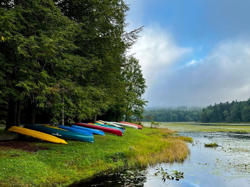 Swimming, Paddling, And Picnic Time Keep Days Easygoing Swimming, Paddling, And Picnic Time Keep Days Easygoing