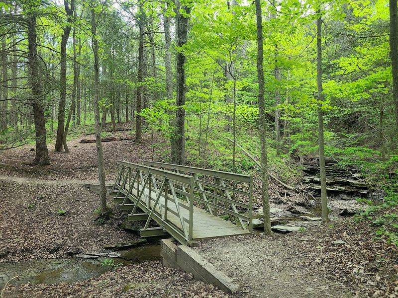Rob’s Trail Preserve at Hemlock Lake (Livingston County)