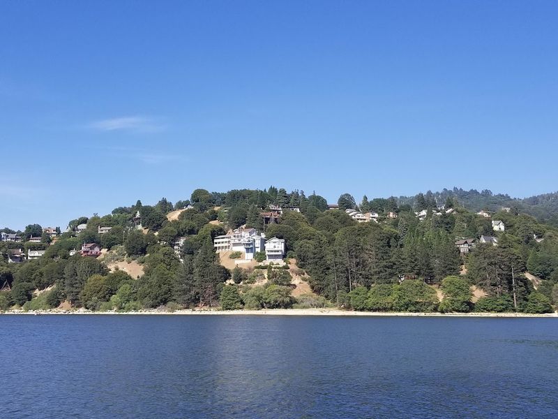 Take in the Pines, Cabins, and Neighborhood Streets
