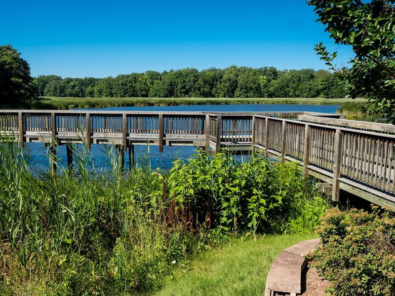 Taking in the calm at Wetlands Overlook Park Taking in the calm at Wetlands Overlook Park