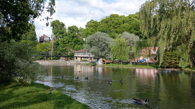 Talleyrand Park
