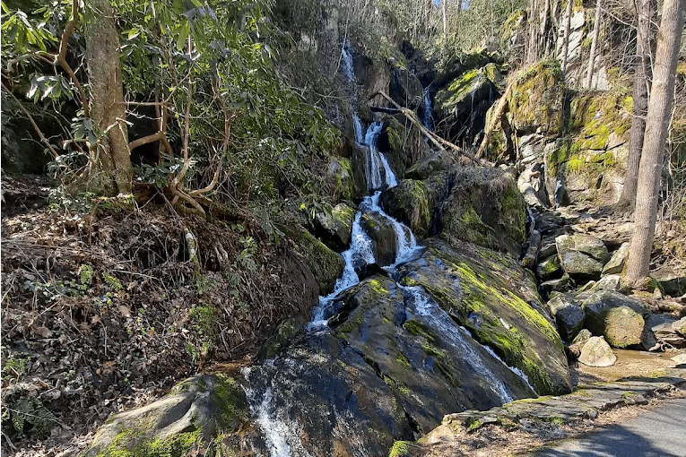 Tennessee's Lovely Trail Hides a Waterfall That Feels Straight Out of a Fairytale