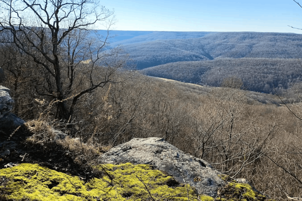 Tennessee’s Newest State Park Has One of the Largest Cave Openings in the State