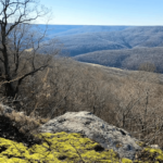 Tennessee's Newest State Park Has One of the Largest Cave Openings in the State