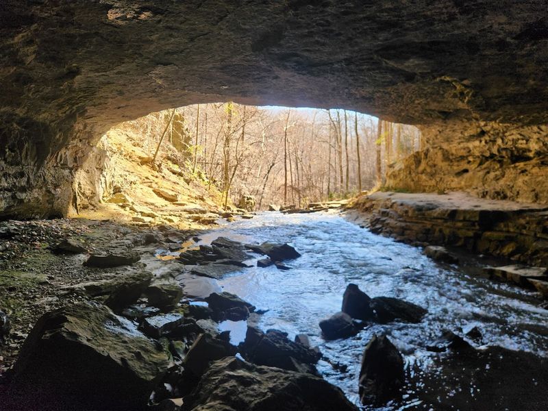 Tennessee's Newest State Park Is Hiding A Massive Natural Wonder Tennessee's Newest State Park Is Hiding A Massive Natural Wonder