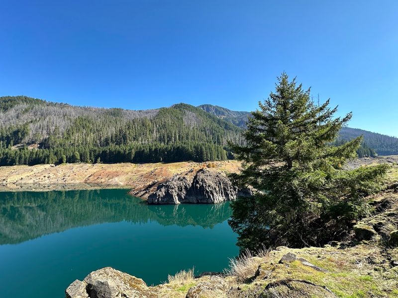 Terwilliger Hot Springs (Cougar Hot Springs)
