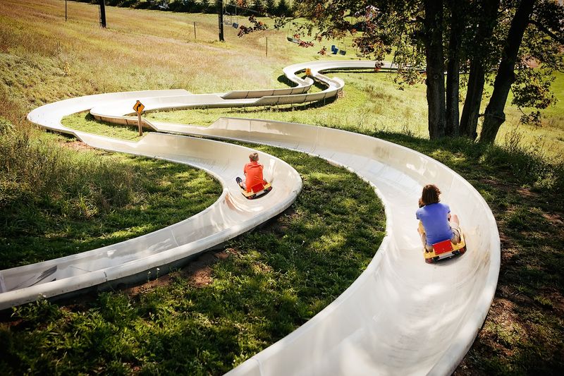 The Alpine Slide: Michigan's Most Thrilling Hillside Ride