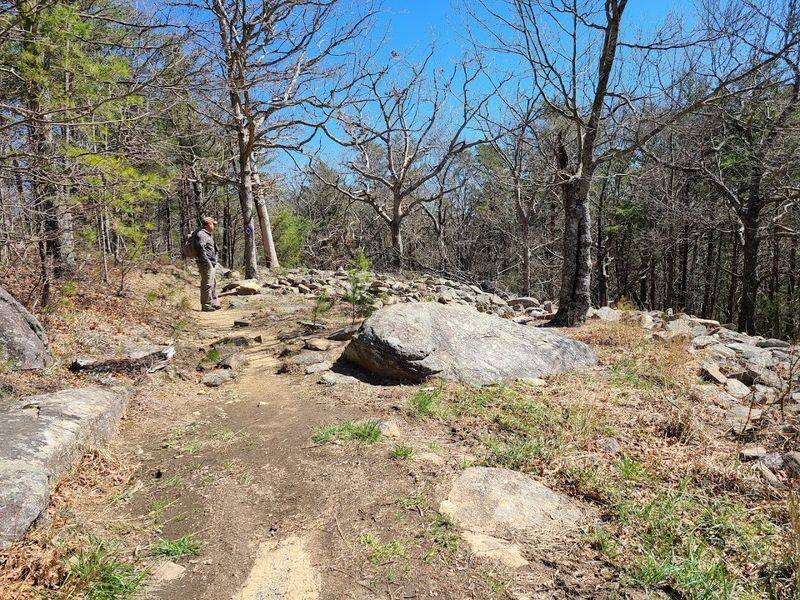 The Ancient Stone Wall Adds Real Mystery