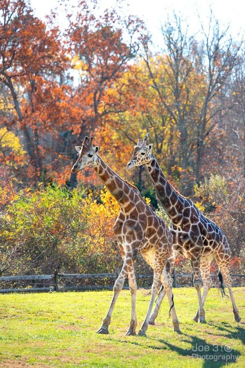 The Animals Make This Little Zoo Feel Bigger Than It Looks