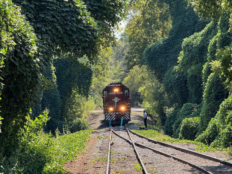 The Best Time to Ride for Fall Color, River Views, and Photo-Worthy Scenery