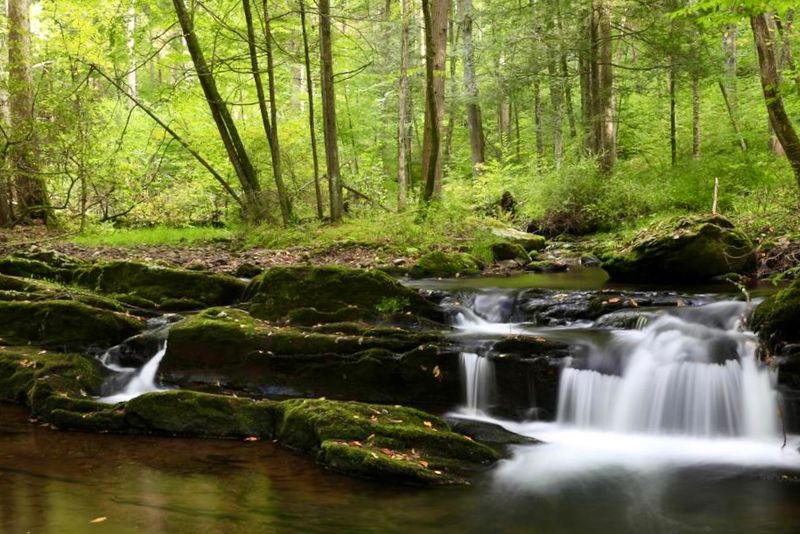 The Best Time to Visit for a Calmer New Jersey Escape