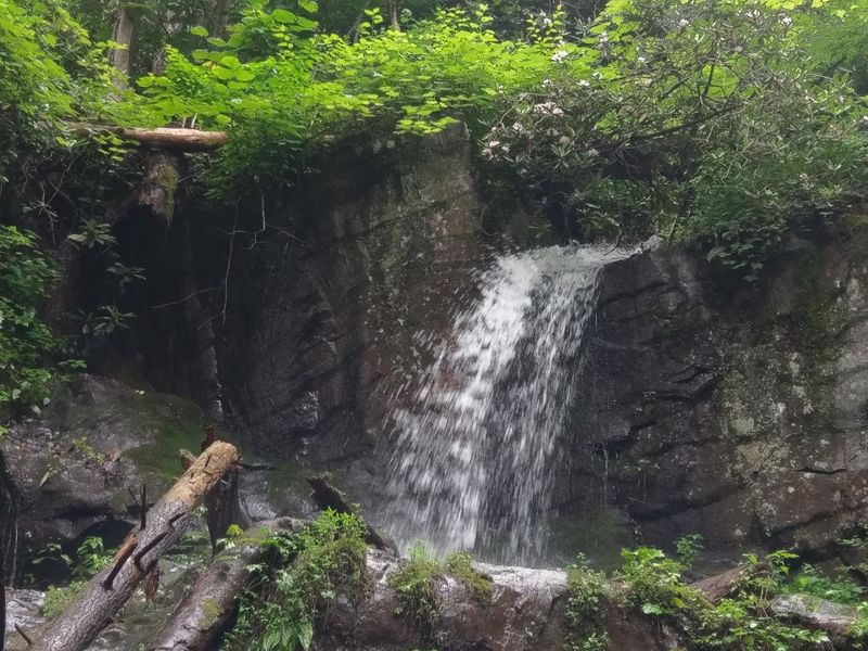 The Best Time to Visit for the Most Dramatic Drips and Mossy Views The Best Time to Visit for the Most Dramatic Drips and Mossy Views