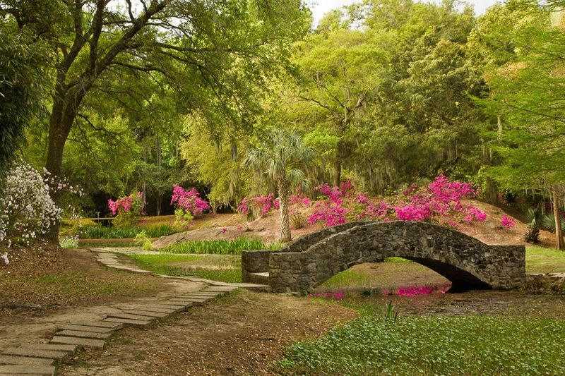 The Blooming Landscape Changes With the Seasons