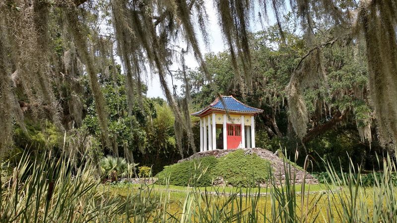 The Buddha and the Chinese Garden Surprise