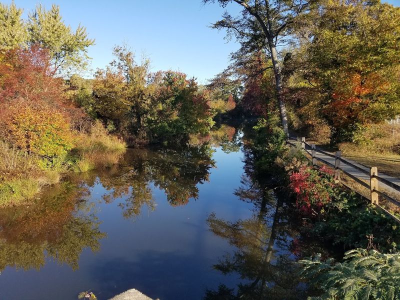 The Cohansey River Adds Peaceful Scenery Without Shore-Town Costs