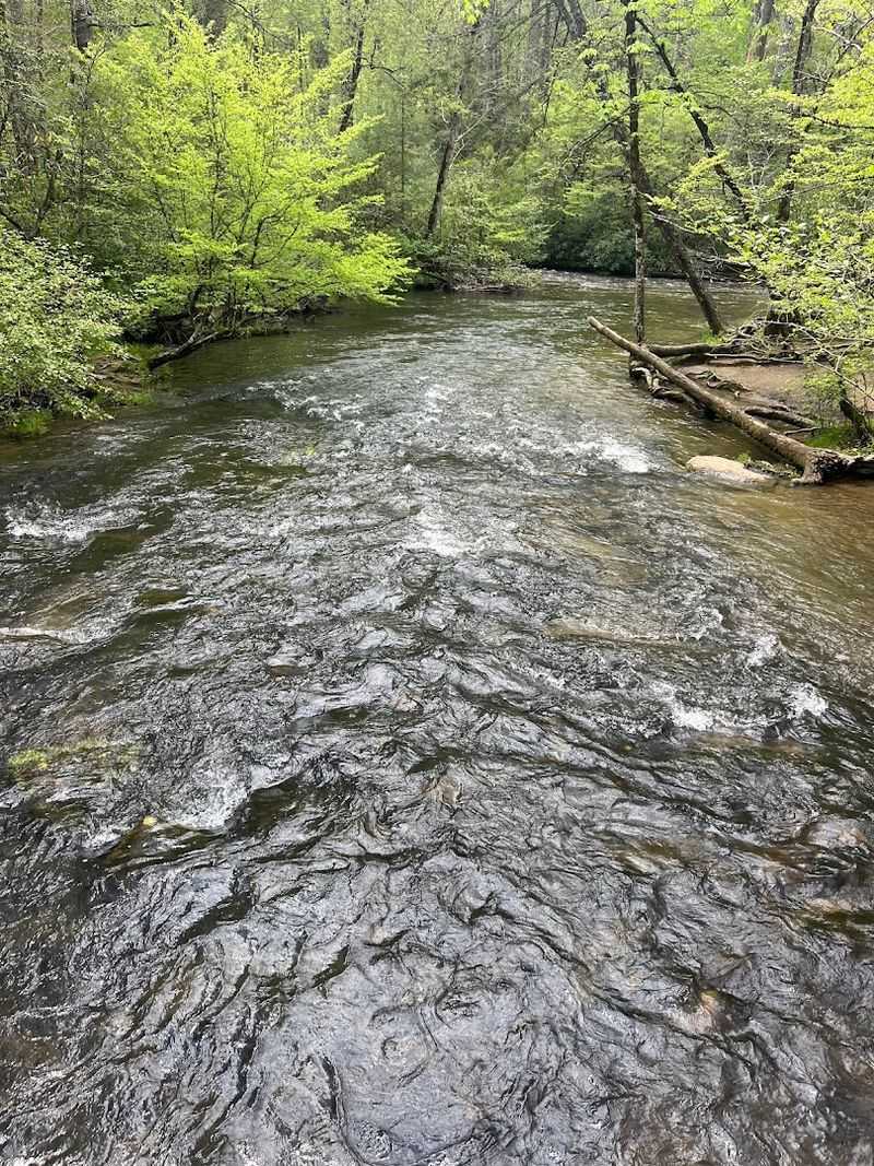 The Crystal-Clear Little River Is the Real Star Here
