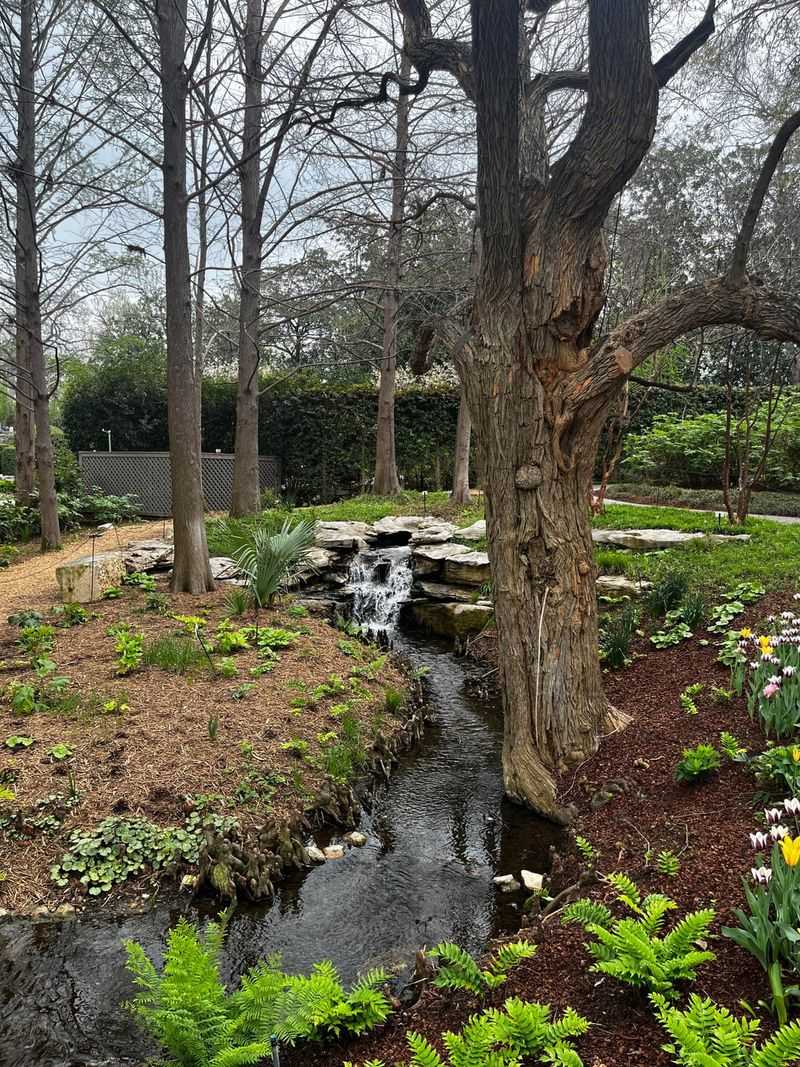 The Dallas Arboretum & Botanical Garden (Dallas) The Dallas Arboretum & Botanical Garden (Dallas)