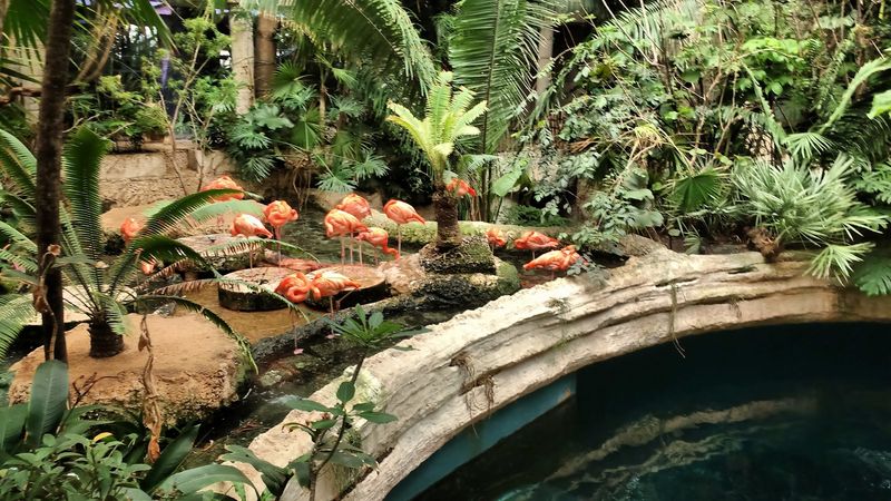 The Dallas World Aquarium (Dallas)