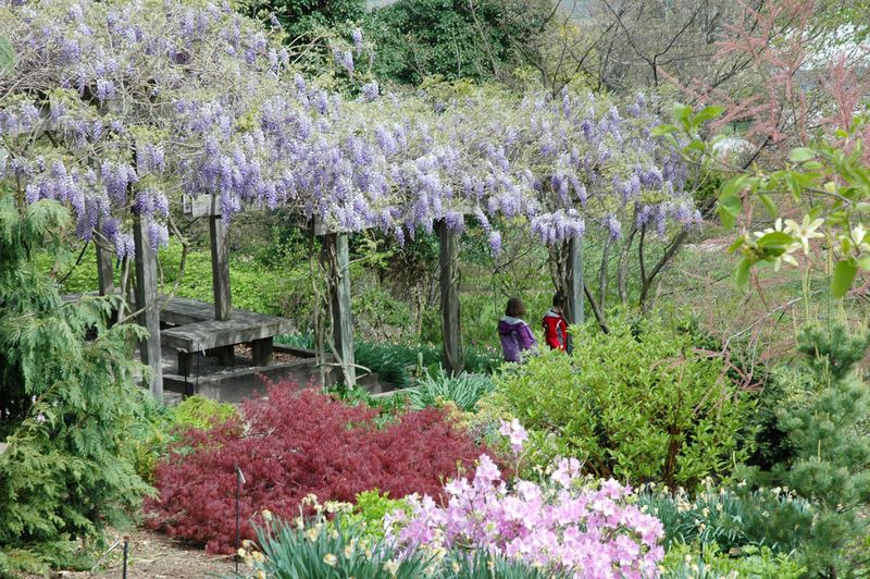 The Dawes Arboretum - Newark