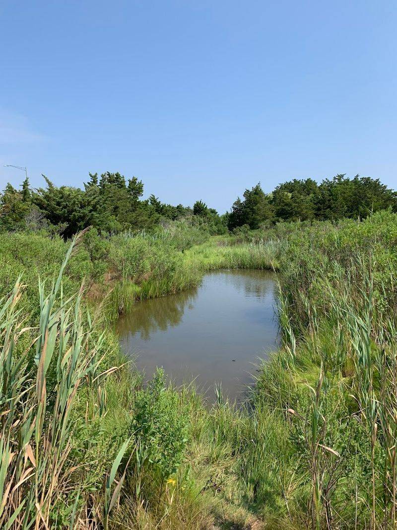 The Dunes and Marshes Are the Real Main Attraction The Dunes and Marshes Are the Real Main Attraction
