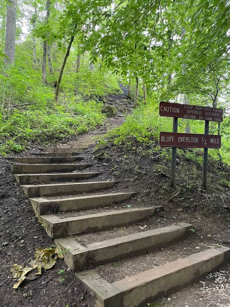 The Easy Trail That Leads to the View The Easy Trail That Leads to the View