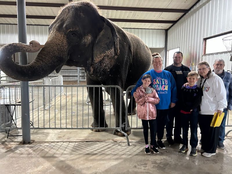 The Elephant Sanctuary at Endangered Ark Foundation (Hugo, near Texas border)