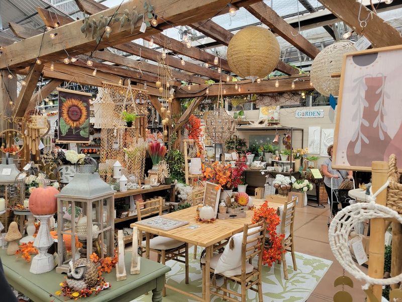 The Garden Center That Feels Enchanted