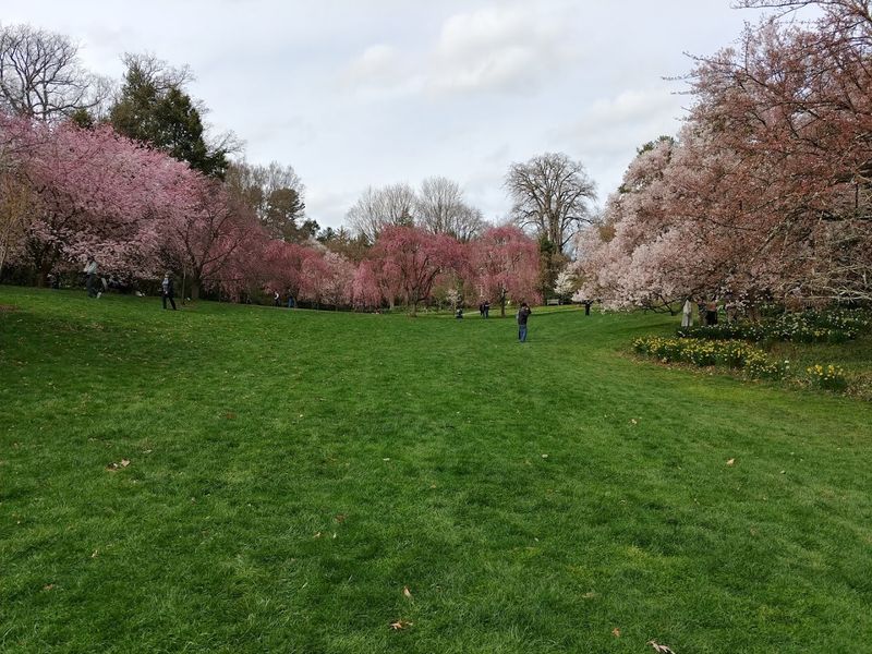 The Gardens Are Spacious, Varied, And Wonderfully Walkable