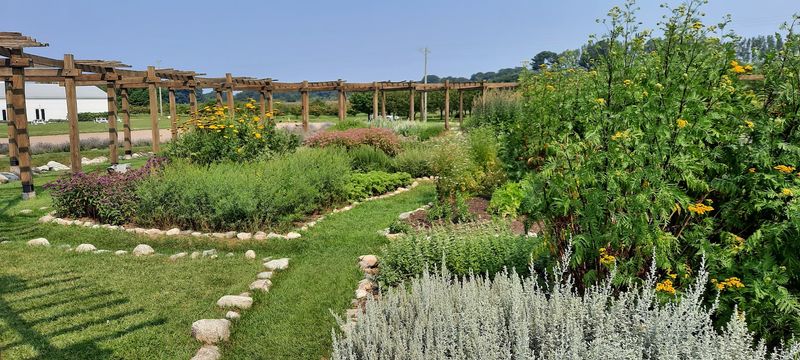 The Herb Garden That Steals the Show