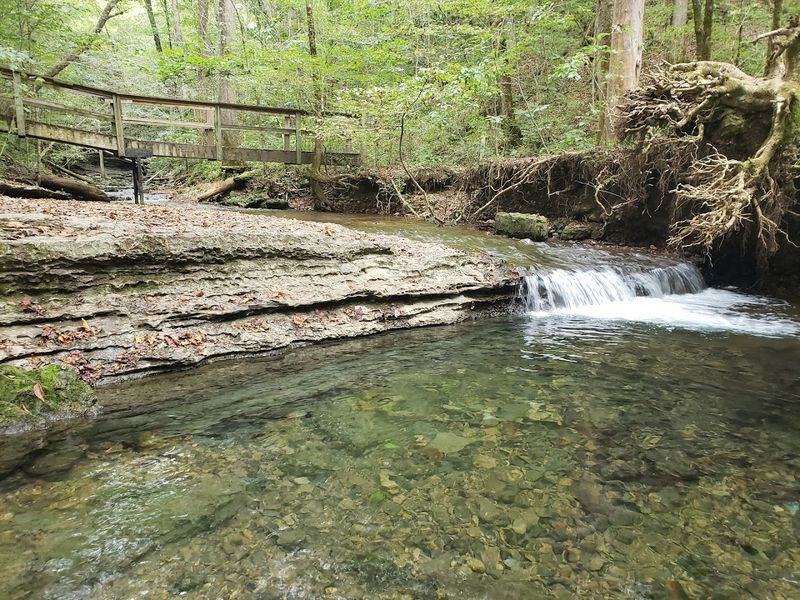 The Hike to the Falls Is Short, Scenic, and Full of Forest Charm