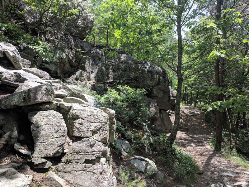 The Hiking Trails Are the Park’s Real Backbone
