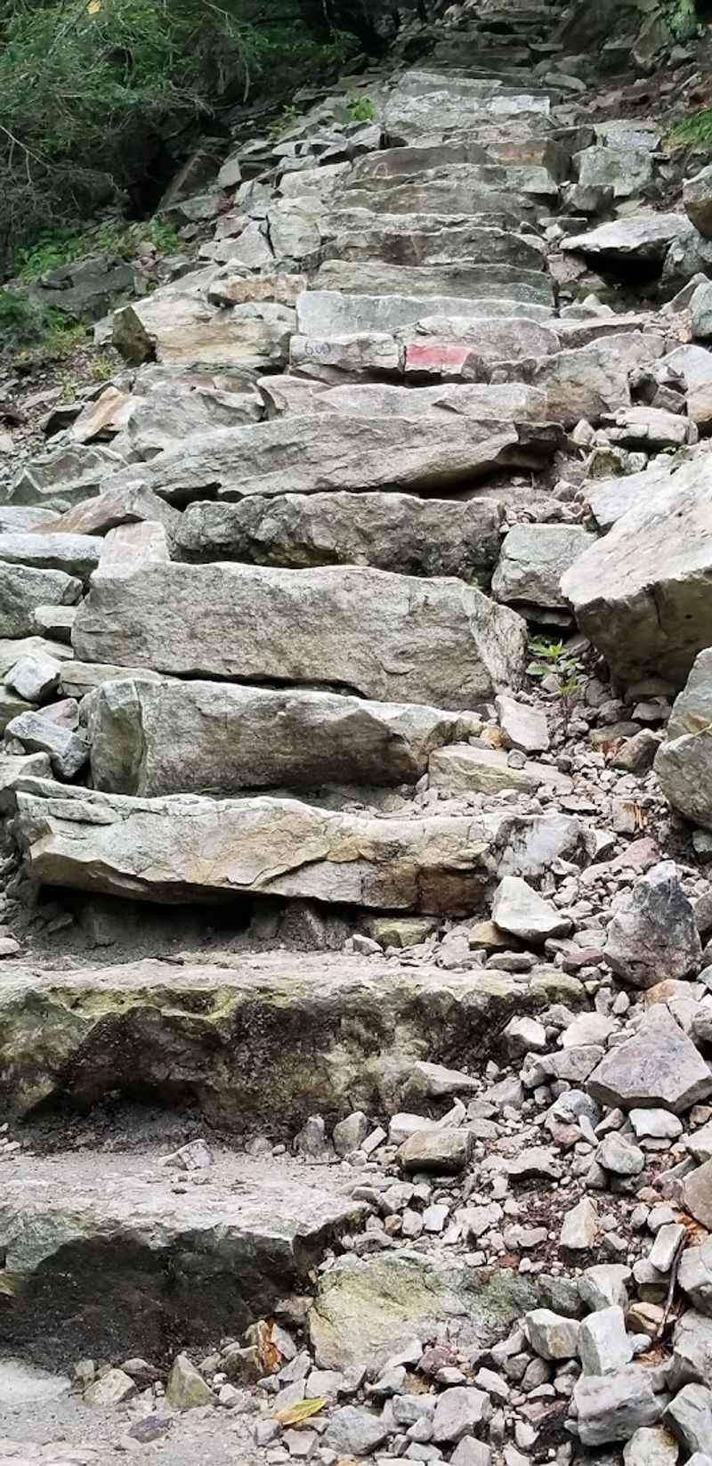 The History Hidden in Every Step