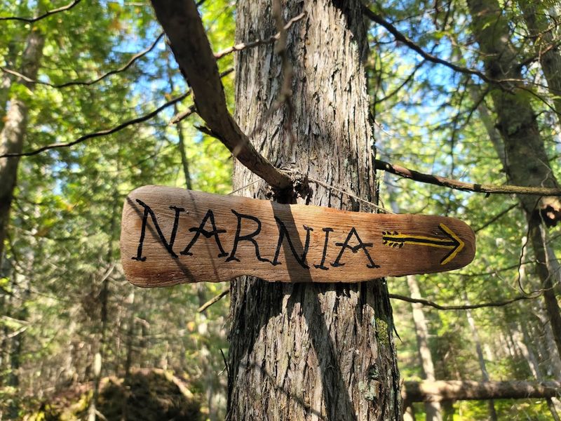 The Iconic Narnia Sign and Lamp Post